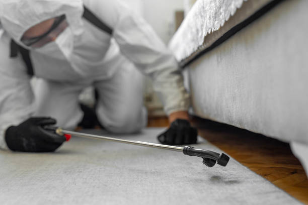 Professional Termite Control technician working in St. Stephen, SC