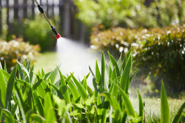 24/7 Emergency Termite Control experts in St. Stephen, SC
